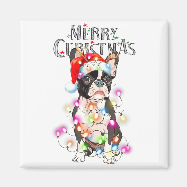 Boston Terrier Christmas Lights Xmas Dog  Magnet (Front)