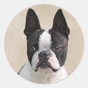 Boston Terrier Classic Round Sticker
