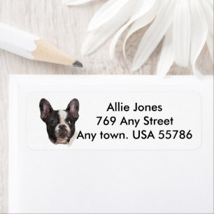 Boston Terrier Customized