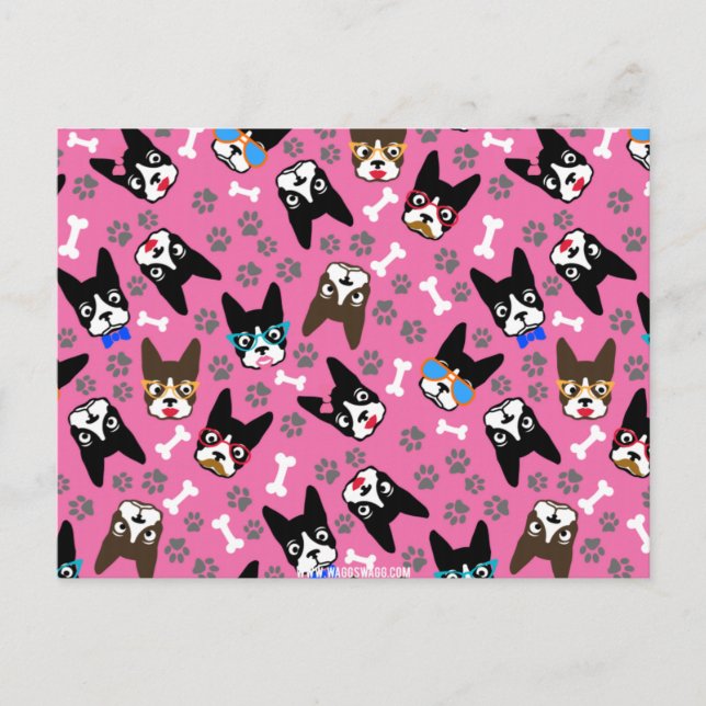 Boston Terrier Cute Moustache Funny Faces Postcard (Front)