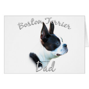 Boston Terrier Dad 2