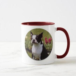 Boston Terrier dans la tasse de jardin