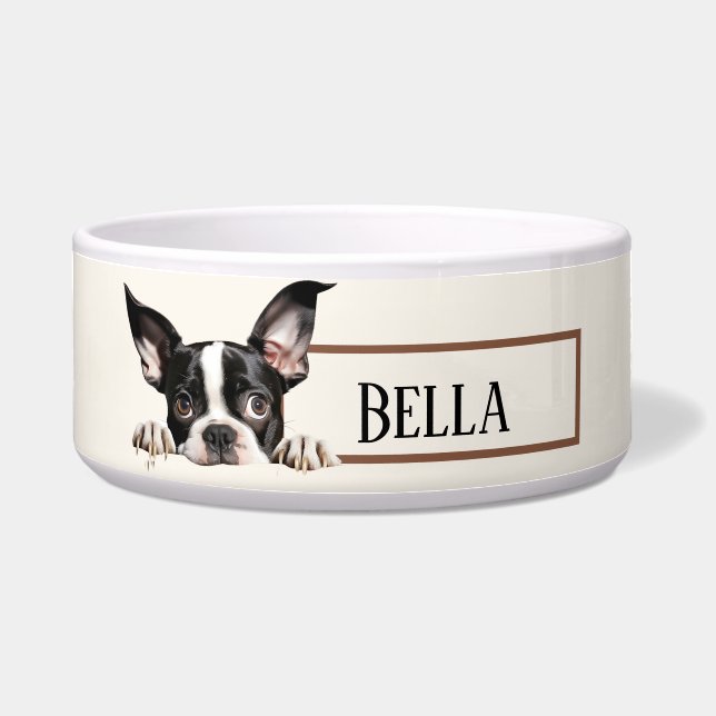 Boston Terrier Dog (Front)