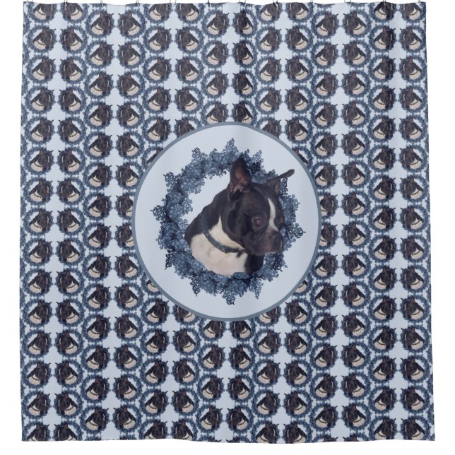 Boston Terrier Dog Animal  (Front)