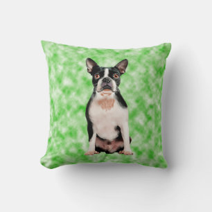 Boston Terrier Dog Art Portrait Throw Pillow