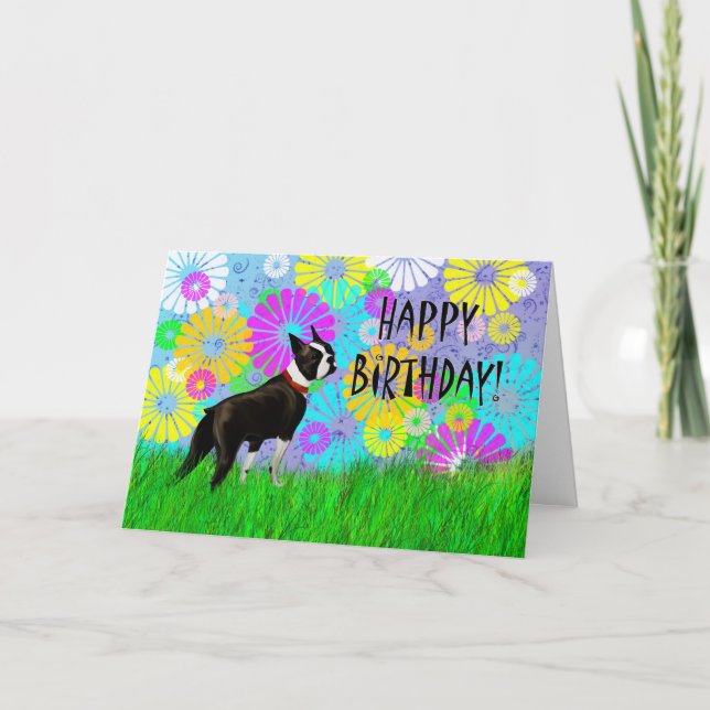Boston Terrier Dog Birthday Card (Front)