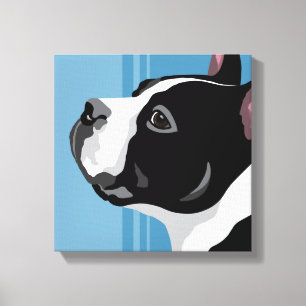Boston Terrier Dog Canvas Prints