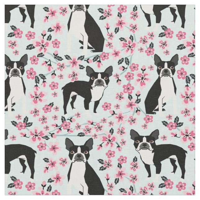 Boston Terrier dog cherry blossoms light blue Fabric (Close Up)
