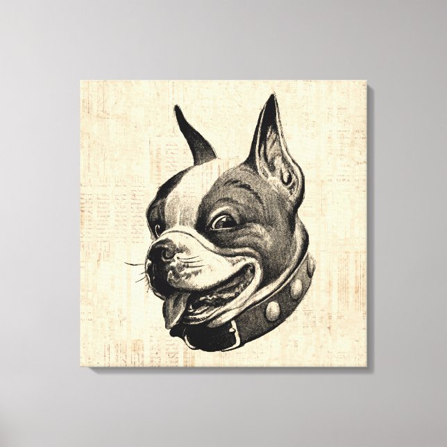 Boston Terrier Dog Cute Pet Dog Antique Art Canvas Print (Front)