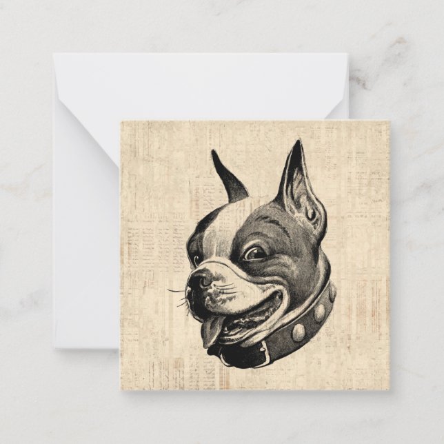 Boston Terrier Dog Cute Pet Dog Antique Art Card (Front)