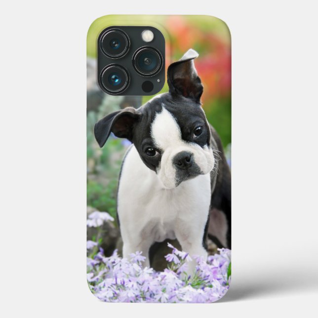 Boston Terrier Dog Cute Puppy Animal Head Photo - Case-Mate iPhone Case (Back)