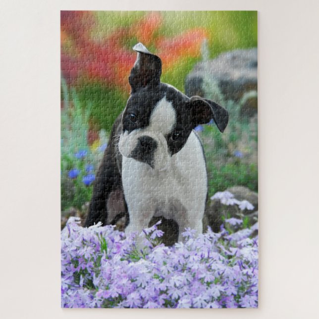Boston Terrier Dog Cute Puppy Animal Head Photo -- Jigsaw Puzzle (Vertical)