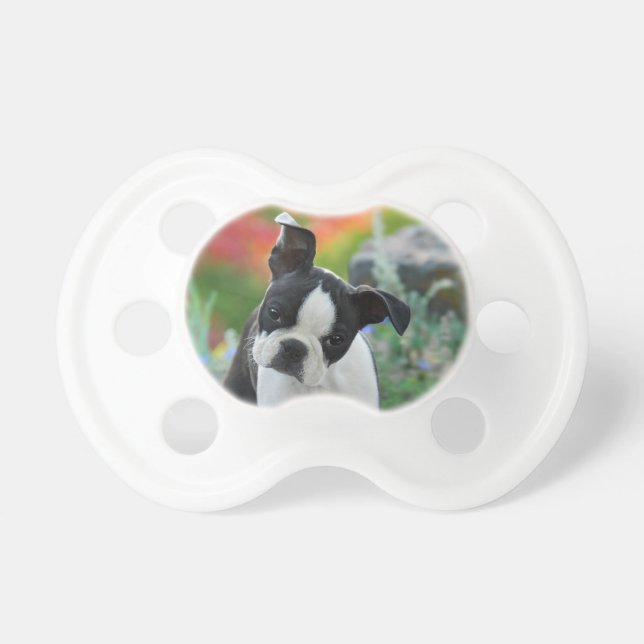 Boston Terrier Dog Cute Puppy Animal Head Photo . Pacifier (Front)
