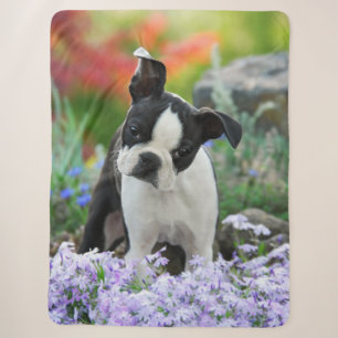 Boston Terrier Dog Cute Puppy Animal Head Photo -, Sherpa Blanket