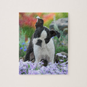 Boston Terrier Dog Cute Puppy Game 8x10 Jigsaw Puzzle