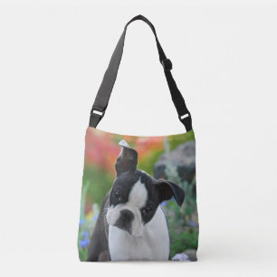 Boston Terrier Dog Cute Puppy Photo on Crossbody Bag