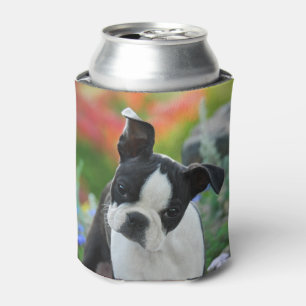Boston Terrier Dog Cute Puppy Portrait Funny Bawdl Can Cooler