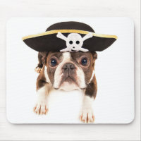 Boston Terrier Dog Dressed As A Pirate