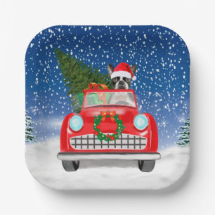 Boston terrier Dog Driving Car In Snow Christmas Paper Plate