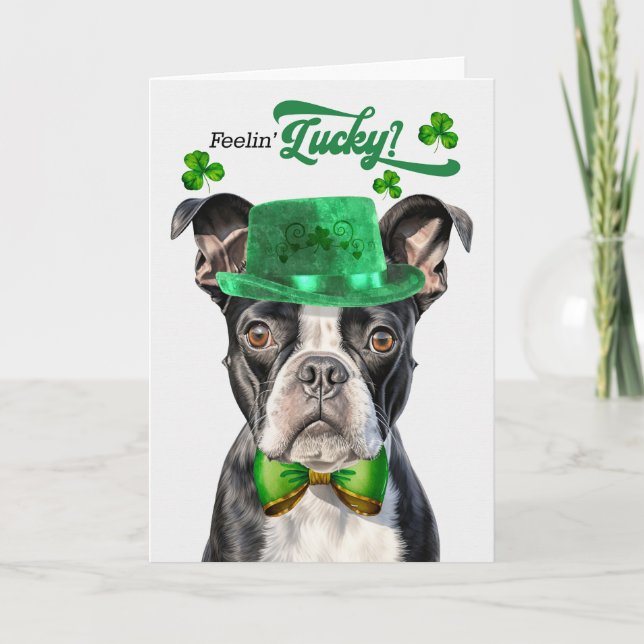 Boston Terrier Dog Feelin' Lucky St Patrick's Day Holiday Card (Front)