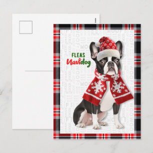 Boston Terrier Dog Fleas Navidog Christmas Holiday Postcard