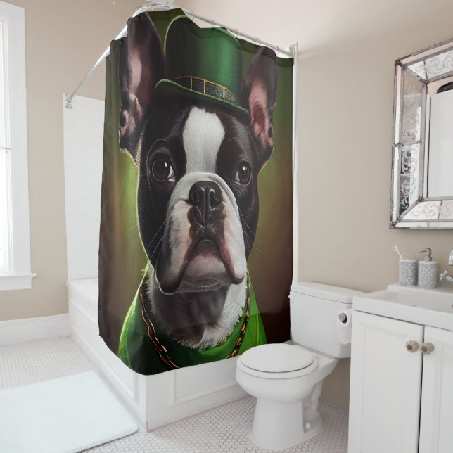 Boston Terrier dog in St. Patrick's Day Dress (In Situ)