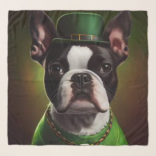 Boston Terrier dog in St. Patrick's Day Dress Scarf