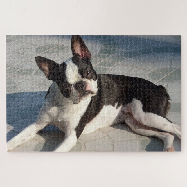 Boston Terrier Dog Jigsaw Puzzle Black and White (Horizontal)
