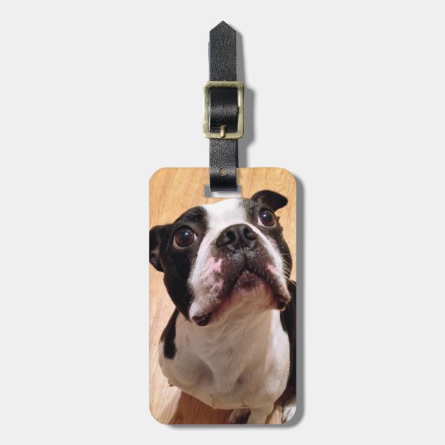 Boston Terrier Dog Luggage Tag (Front Vertical)