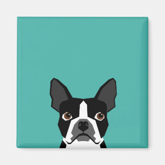 Boston Terrier dog magnet