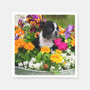 Boston Terrier dog Napkin