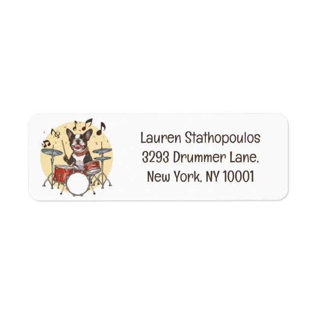Boston Terrier Dog Playing Drums (Front)