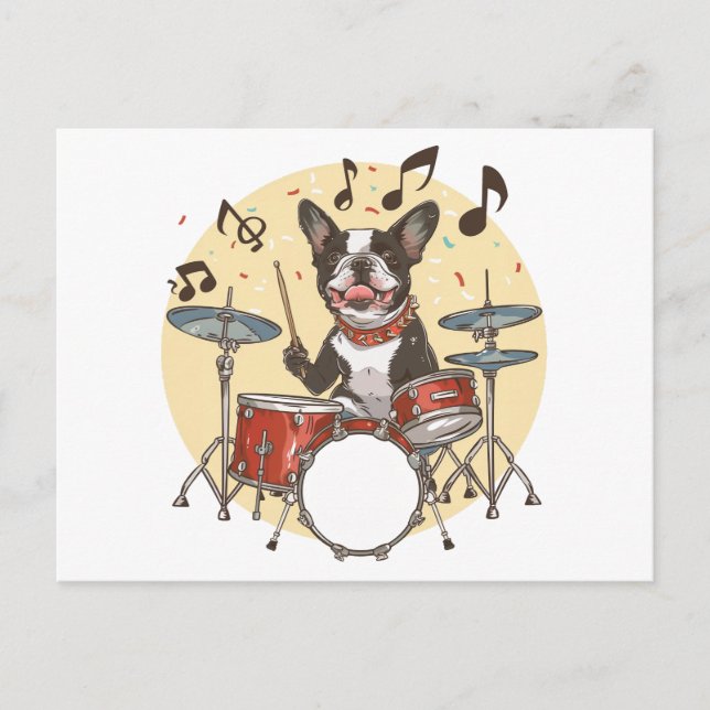 Boston Terrier Dog Playing Drums Postcard (Front)