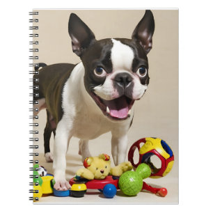 Boston Terrier Dog Playing with Toys Notebook