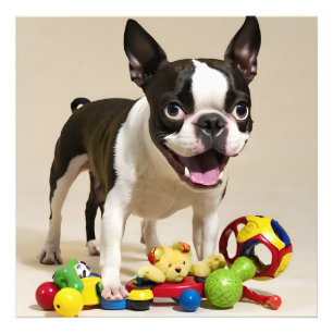 Boston Terrier Dog Playing with Toys Photo Print