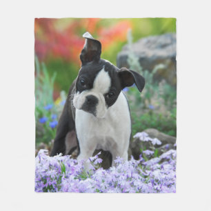 Boston Terrier Dog Puppy cozy Fleece Blanket