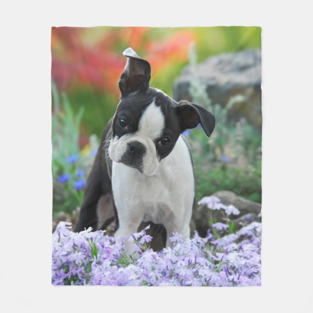 Boston Terrier Dog Puppy cozy Fleece Blanket (Front)