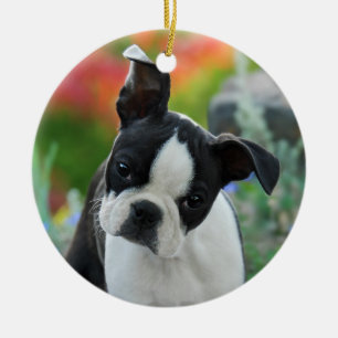 Boston Terrier Dog Puppy hang Decor Ceramic Ornament