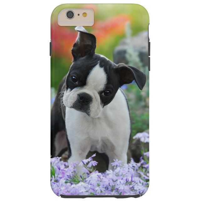 Boston Terrier Dog Puppy Portrait Cell Phonecase Case-Mate iPhone Case (Back)