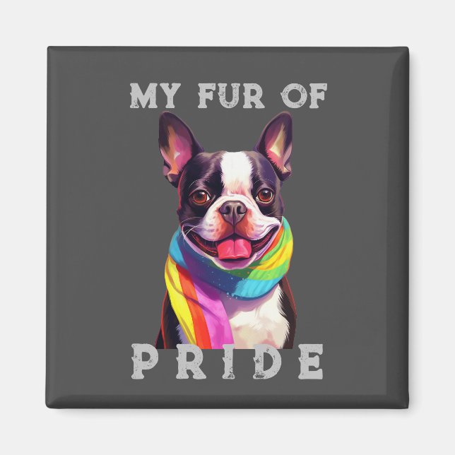 Boston Terrier Dog Rainbow Funny My Fur Pride Magnet (Front)