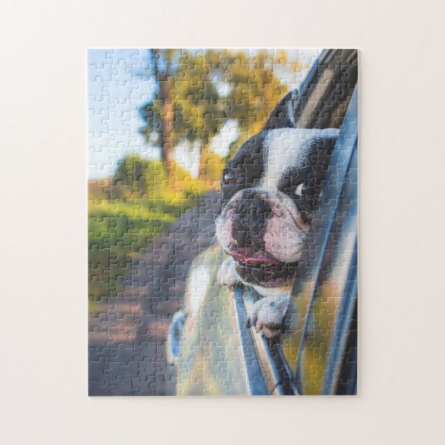 Boston Terrier Dog Sticking Head out Car Window Jigsaw Puzzle (Vertical)