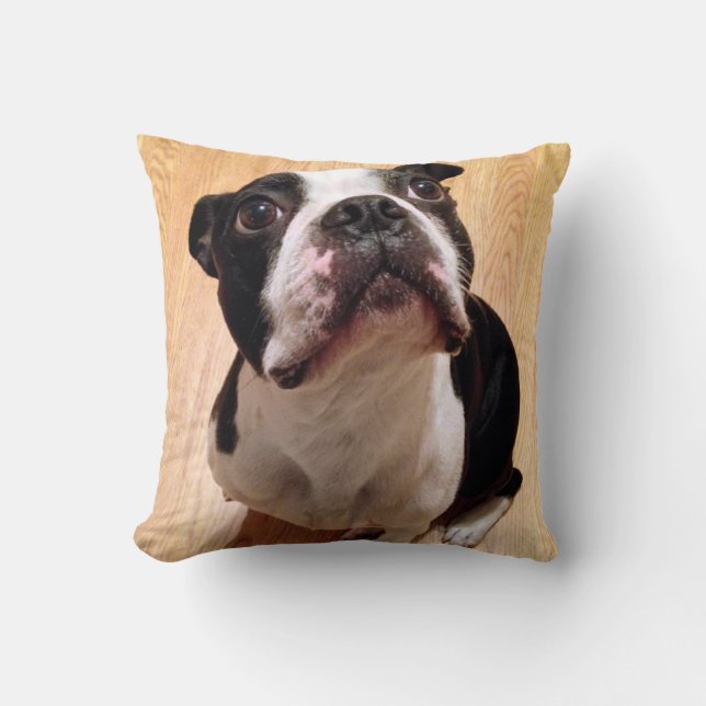 Boston Terrier Dog Throw Pillow (Front)