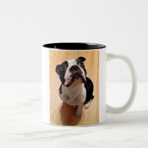 Boston Terrier Dog Two-Tone Coffee Mug
