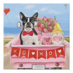 Boston Terrier Dog Valentine's Day Truck Hearts Faux Canvas Print