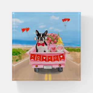 Boston Terrier Dog Valentine's Day Truck Hearts Paperweight