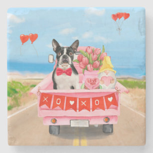 Boston Terrier Dog Valentine's Day Truck Hearts Stone Coaster