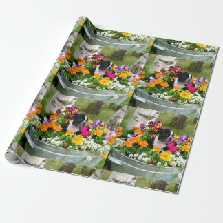 Boston Terrier dog Wrapping Paper