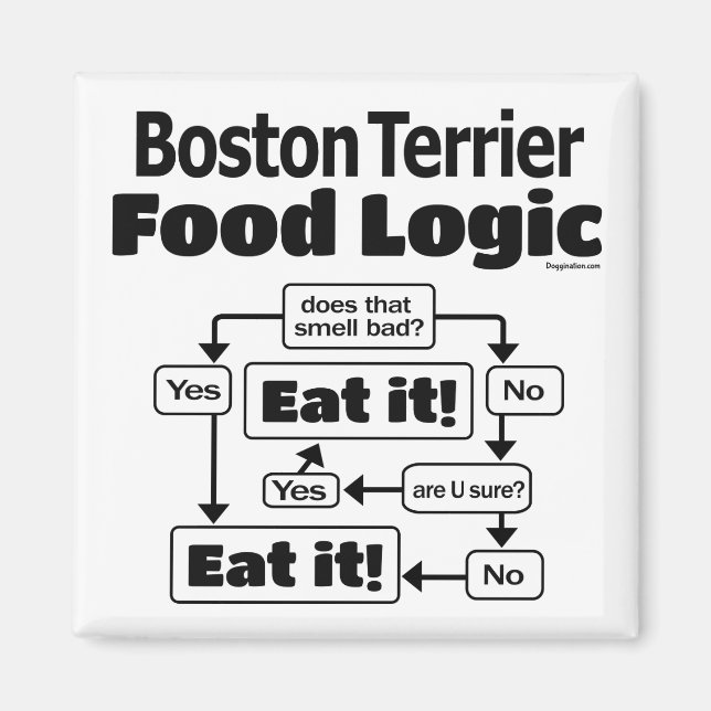 Boston Terrier Food Logic Magnet (Front)