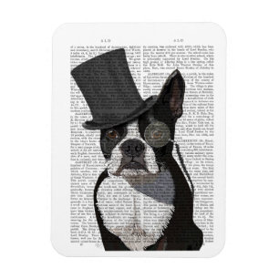 Boston Terrier, Formal Hound and Hat Magnet