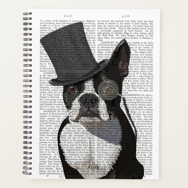 Boston Terrier, Formal Hound et Casquette (Devant)